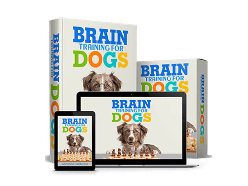 Brain Training for Dogs